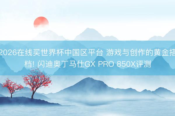2026在线买世界杯中国区平台 游戏与创作的黄金搭档! 闪迪奥丁马仕GX PRO 850X评测