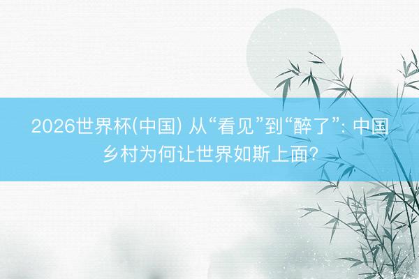 2026世界杯(中国) 从“看见”到“醉了”: 中国乡村为何让世界如斯上面?