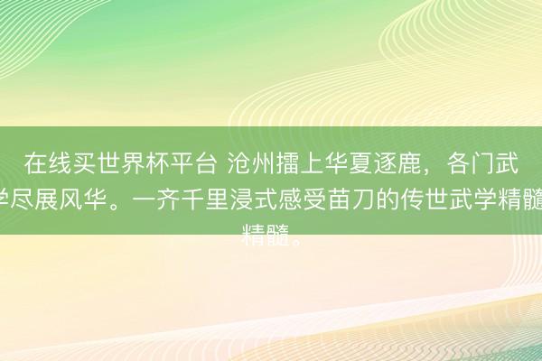 在线买世界杯平台 沧州擂上华夏逐鹿，各门武学尽展风华。一齐千里浸式感受苗刀的传世武学精髓。
