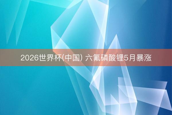 2026世界杯(中国) 六氟磷酸锂5月暴涨