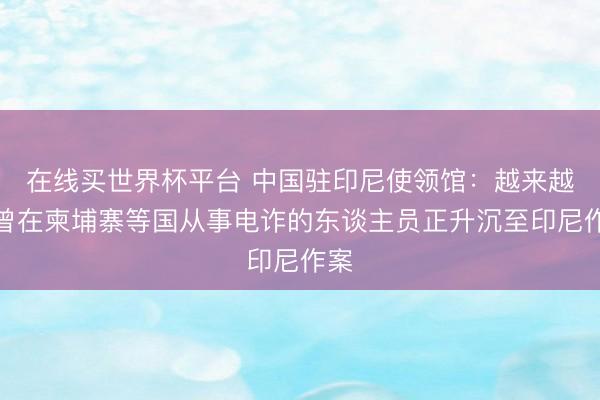 在线买世界杯平台 中国驻印尼使领馆：越来越多曾在柬埔寨等国从事电诈的东谈主员正升沉至印尼作案