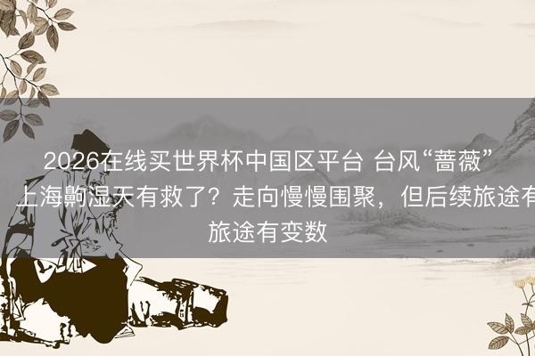 2026在线买世界杯中国区平台 台风“蔷薇”来了！上海齁湿天有救了？走向慢慢围聚，但后续旅途有变数