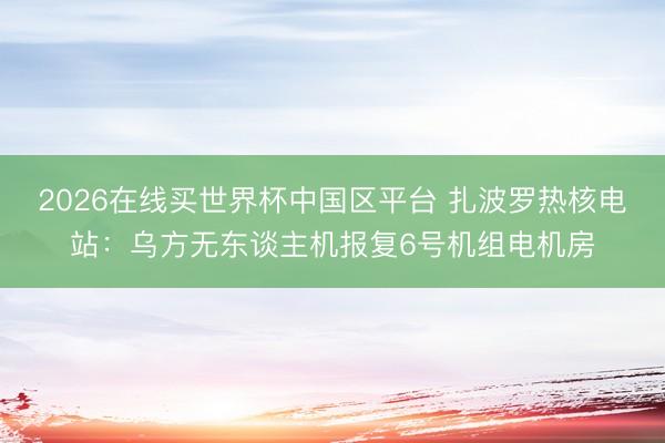 2026在线买世界杯中国区平台 扎波罗热核电站：乌方无东谈主机报复6号机组电机房