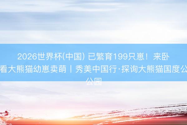 2026世界杯(中国) 已繁育199只崽！来卧龙看大熊猫幼崽卖萌丨秀美中国行·探询大熊猫国度公园