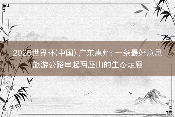 2026世界杯(中国) 广东惠州: 一条最好意思旅游公路串起