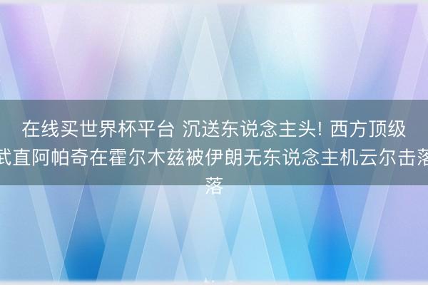 在线买世界杯平台 沉送东说念主头! 西方顶级武直阿帕奇在霍尔木兹被伊朗无东说念主机云尔击落