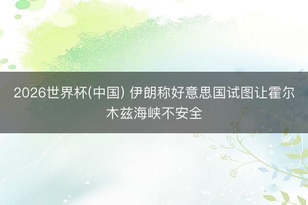 2026世界杯(中国) 伊朗称好意思国试图让霍尔木兹海峡不安全