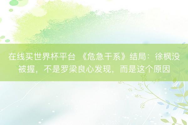 在线买世界杯平台 《危急干系》结局：徐枫没被握，不是罗梁良心发现，而是这个原因