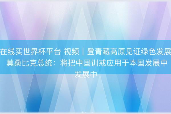在线买世界杯平台 视频｜登青藏高原见证绿色发展 莫桑比克总统：将把中国训戒应用于本国发展中