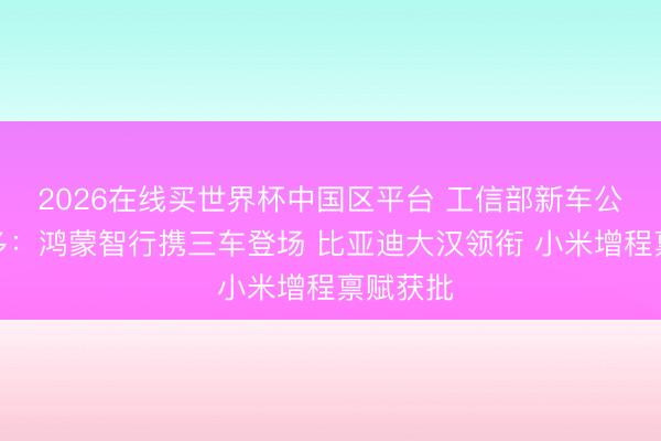 2026在线买世界杯中国区平台 工信部新车公示亮点多：鸿蒙智行携三车登场 比亚迪大汉领衔 小米增程禀赋获批