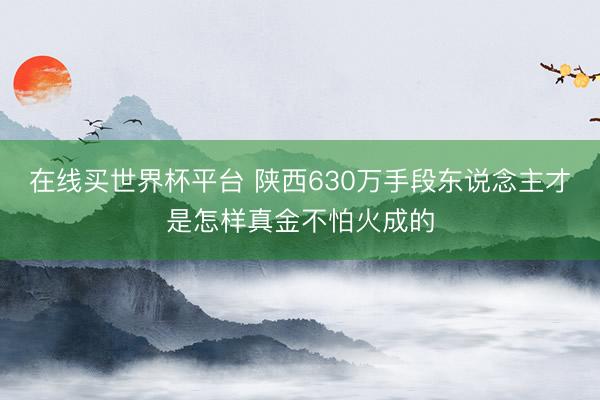 在线买世界杯平台 陕西630万手段东说念主才是怎样真金不怕火成的