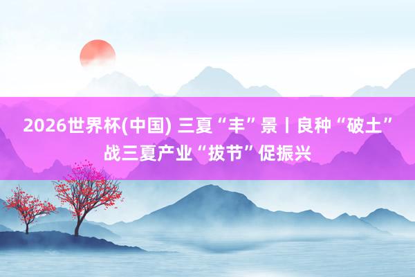 2026世界杯(中国) 三夏“丰”景丨良种“破土”战三夏产业“拔节”促振兴